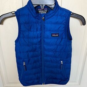 Patagonia Blue Puffer Vest